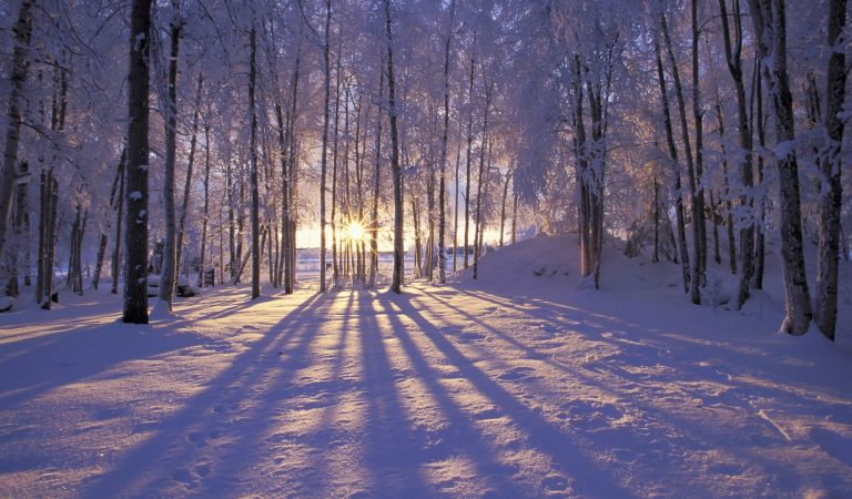 10 Curiozități despre iarnă