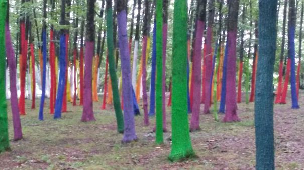 Manifest artistic împotriva defrişărilor: Sute de copaci dintr-o pădure, coloraţi cu vopsea ecologică