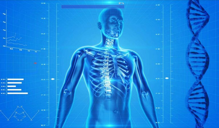Corpul Uman – Ce nu stiti despre organismul vostru