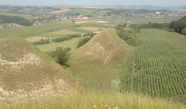 Misterioasele Movile din județul Mureș, dintre localitățile Raciu și Sânmartinu de Câmpie